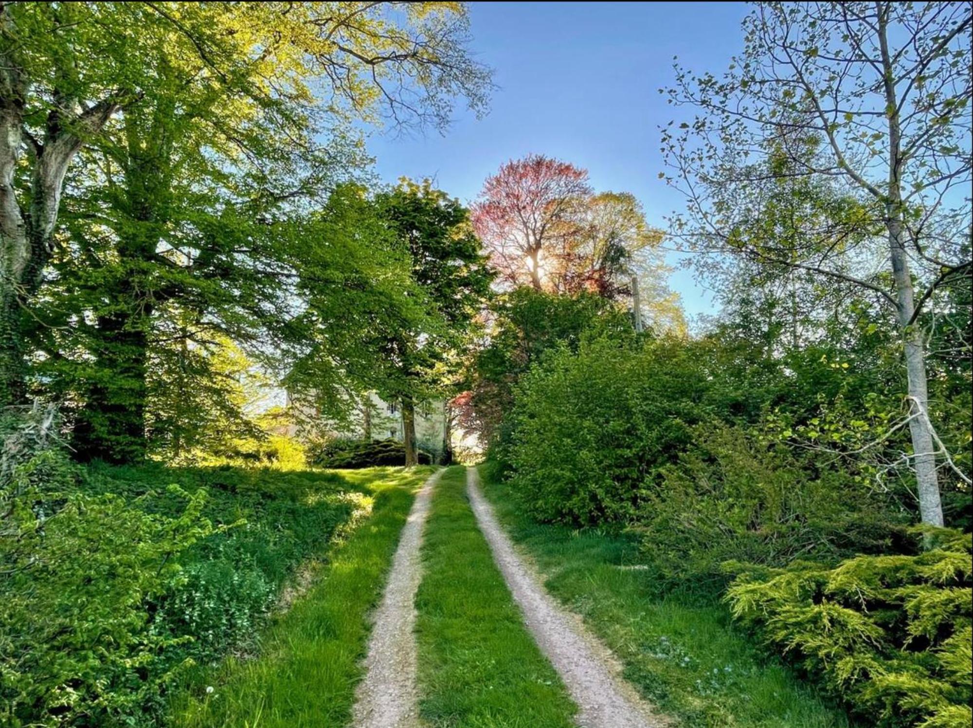 Chateau De La Combe La Celle  외부 사진