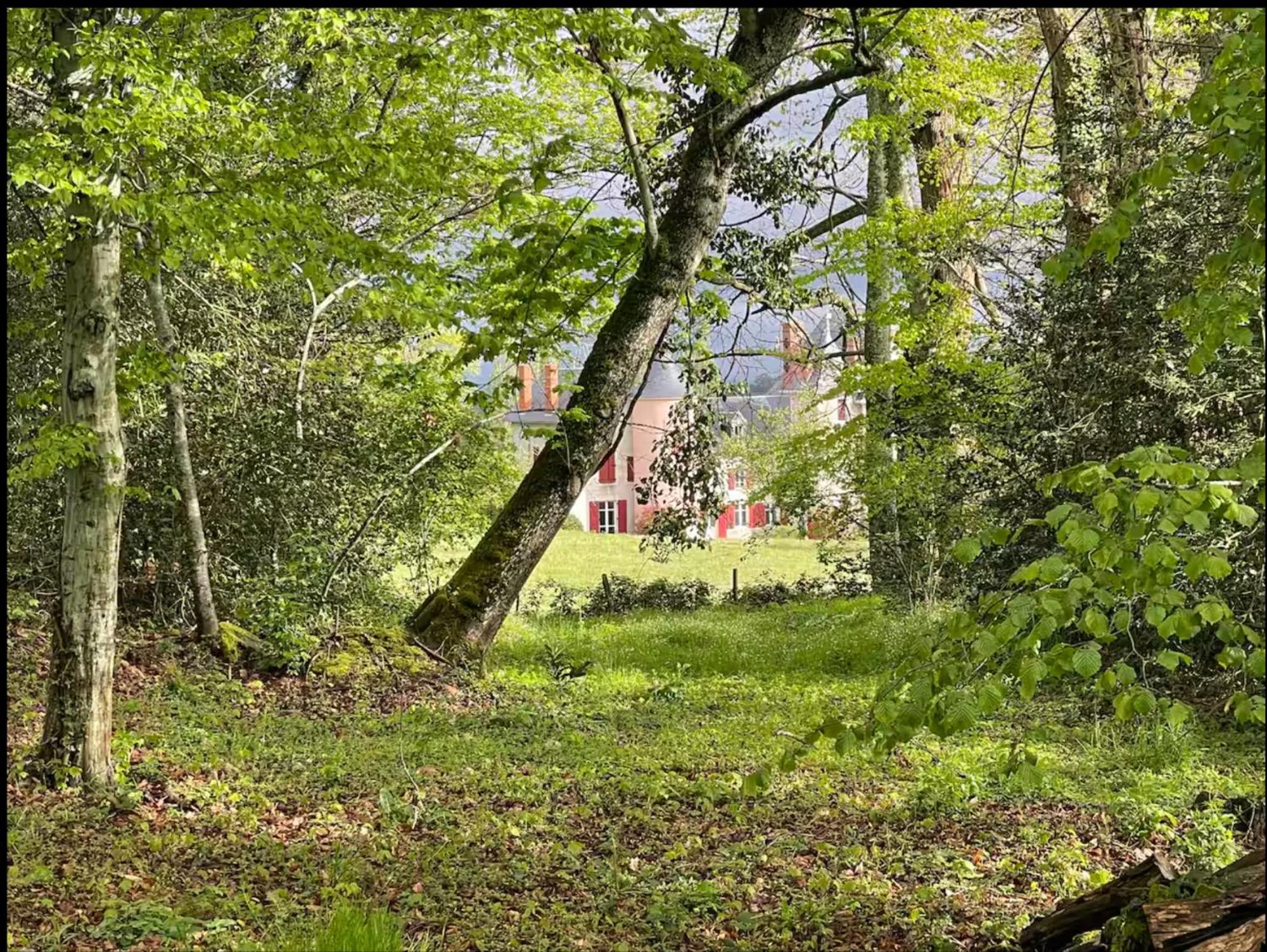 Chateau De La Combe La Celle  외부 사진